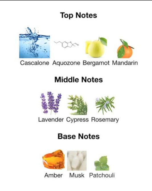 Ocean Rush - Rayhaan (100ml)