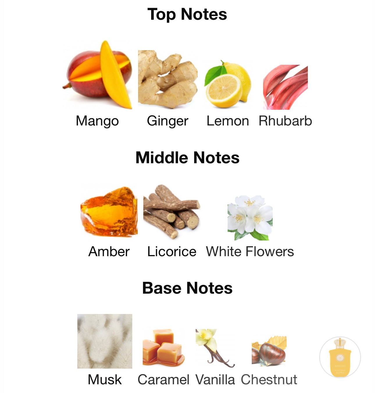 Mango ice - Gulf Orchid (100ml)