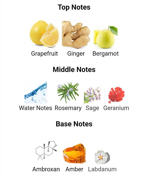 Jean lowe immortal - Maison Alhambra