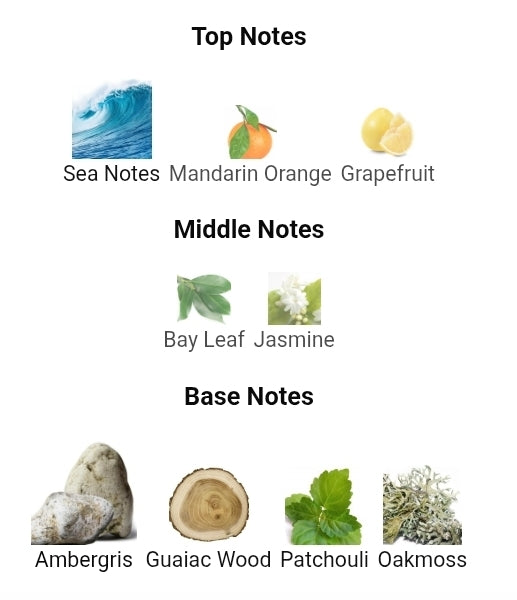 Oniro - Fragrance World (100ml)